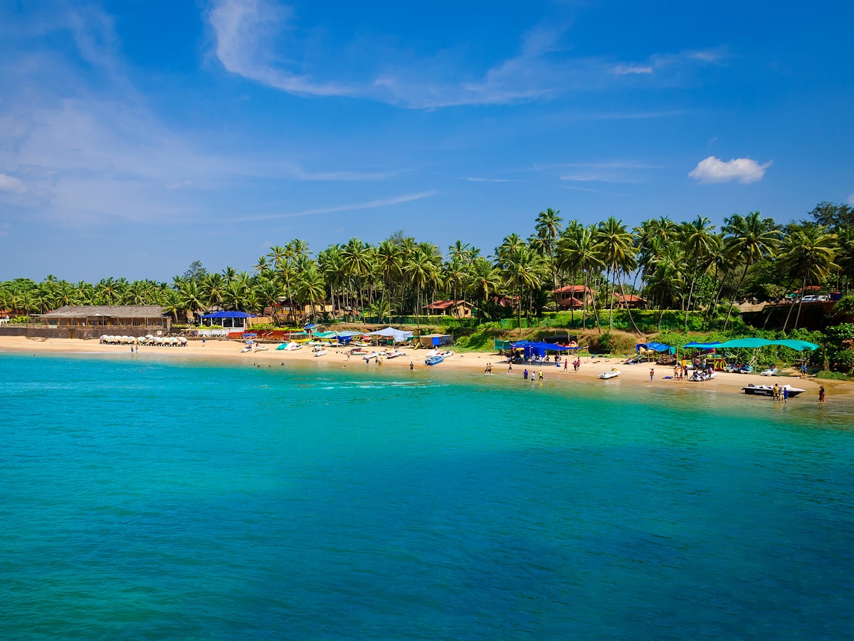 Goa, Goa — Palm-lined Palolem beach with golden sand on the Goa coast